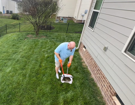 Dog Waste Dangers: Why You Should Never Skip Poop Cleanup in Your Yard Thumbnail