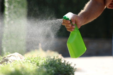 How to Use Pet Friendly Dog Repellent Spray to Prevent Repeat Messes Thumbnail
